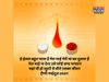 Bhai Dooj, Bhai Dooj 2021, Bhai Dooj images, Bhai Dooj wishes, happy Bhai Dooj, happy Bhai Dooj 2021, happy Bhai Dooj images, happy Bhai Dooj wishes, happy Bhai Dooj sms, happy Bhai Dooj greetings, happy Bhai Dooj pics, happy Bhai Dooj wishes images