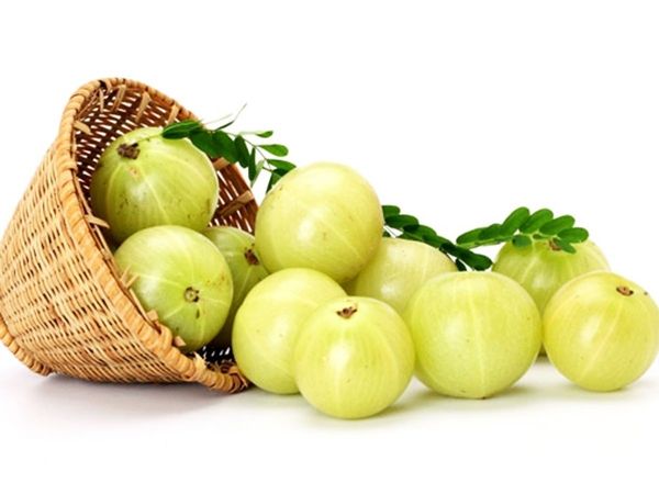 Amla and immunity