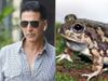 AKshay kumar Frog