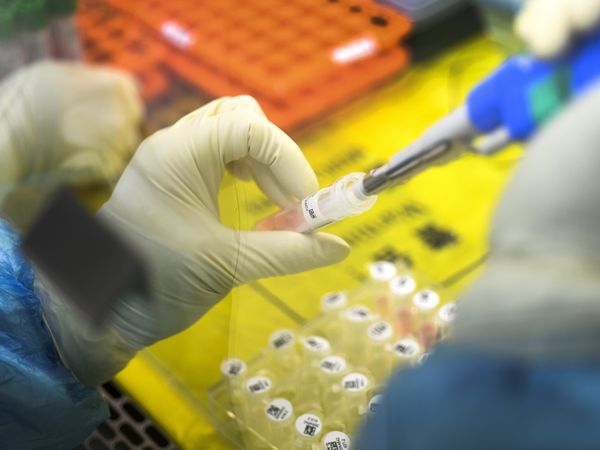  British man passed coronavirus to 11 people without ever setting foot in china