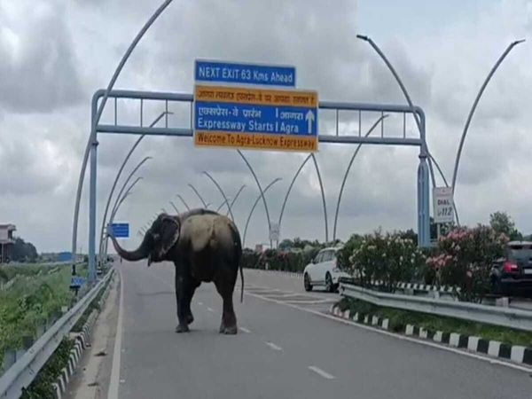 Agra Lucknow Expressway