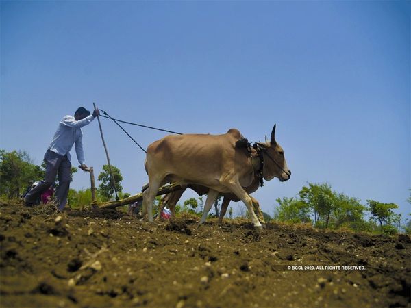 You should know Why are the Agriculture Bills being opposed by opposition and SAD