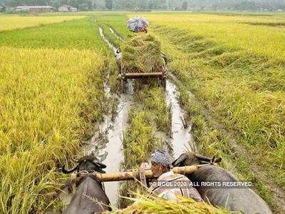 India can get 50-60 billion dollar carbon credits India can get 50-60 billion dollar carbon credits
