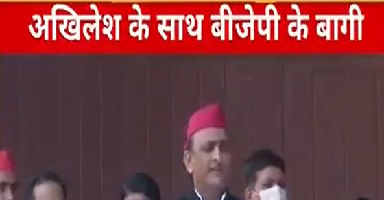 Up Election Results 2022 Sp Seats Full List Of Samajwadi Party Seats