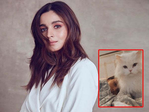 Alia Bhatt Injury