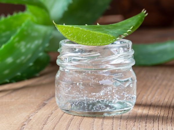 Aloe Vera Lip Balm