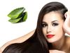 Aloe Vera Benefits