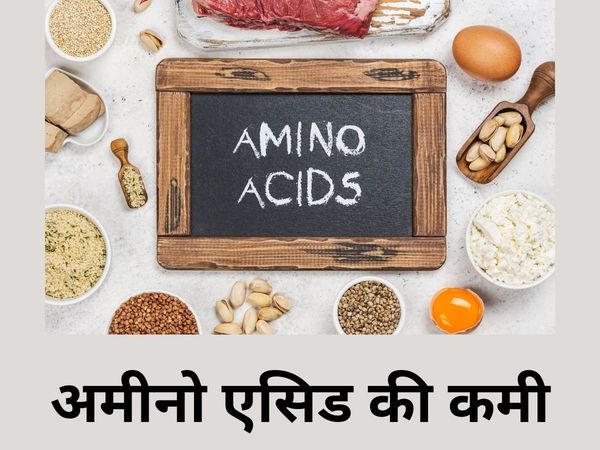Amino Acid Diet