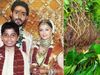 Abhishek Bachchan, Aishwarya Rai Wedding