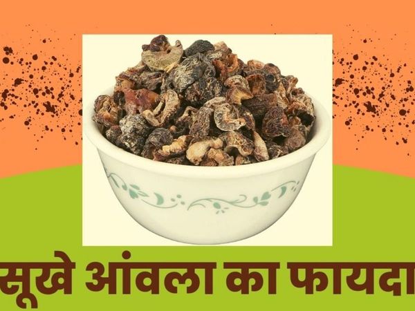 Benefits of Dried Amla