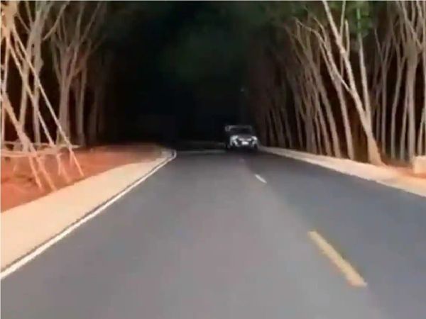 Anand Mahindra Urges Nitin Gadkari For Trunnels In India