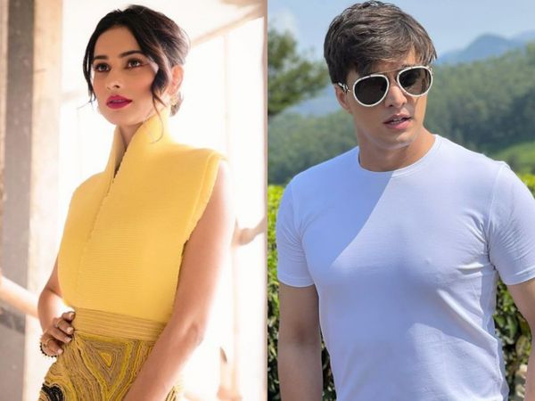 Aneri Vajani And Mohsin Khan, Aneri Vajani And Mohsin Khan Gets A New Project