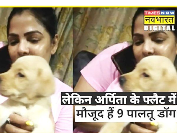 Arpita Mukherjee dog