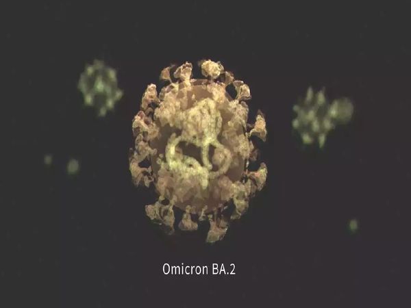 COVID-19 BA.2 Variant