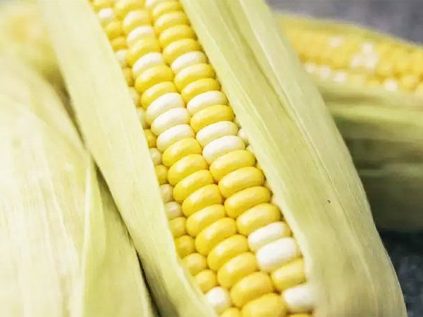 India's baby corn
