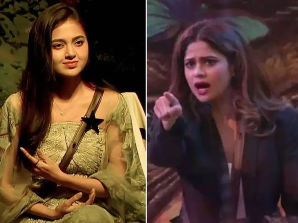 Bigg Boss 15 Winner Prediction