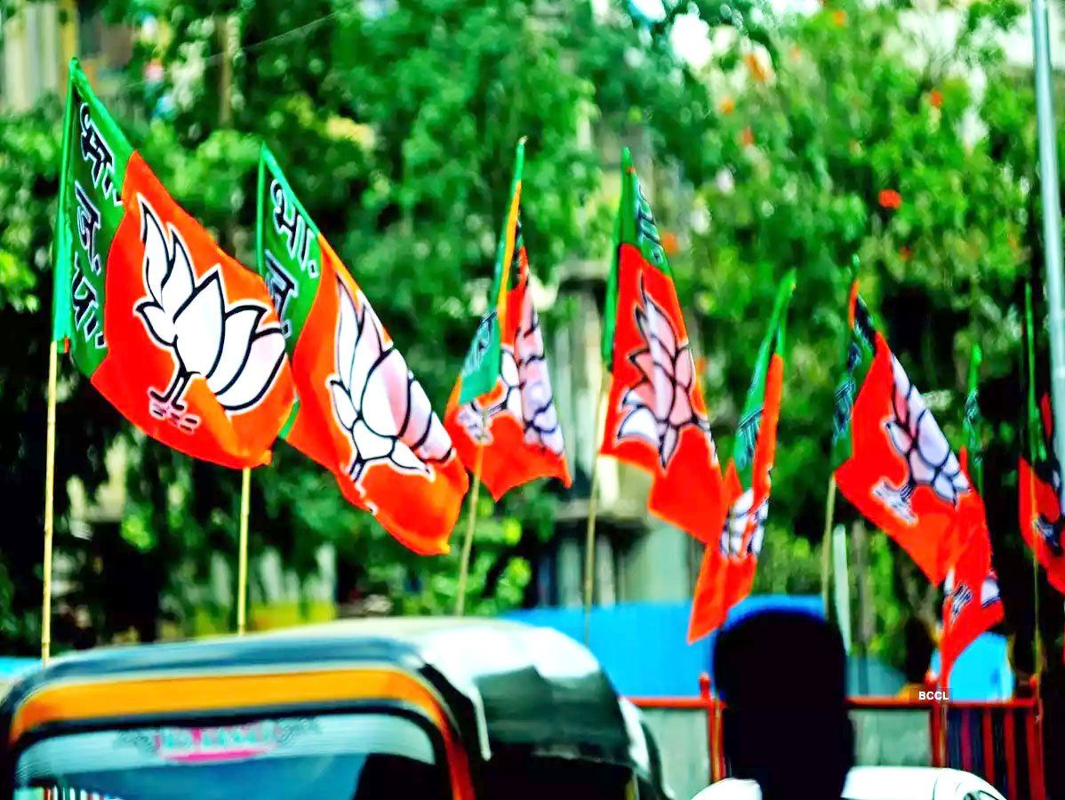 Gandhinagar Gujarat:गांधीनगर महापालिका चुनाव नतीजे, बीजेपी ने लहराया परमच, 44 में से हासिल कीं 41 सीटें