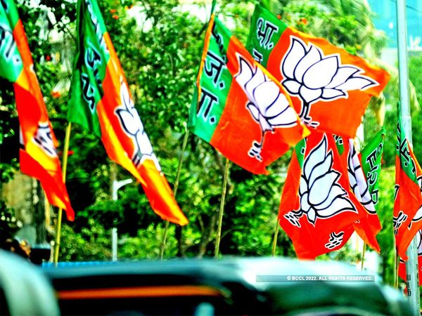 UP Rajya Sabha BJP Candidate List