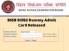 BSEB DElEd Dummy Admit Card 2022