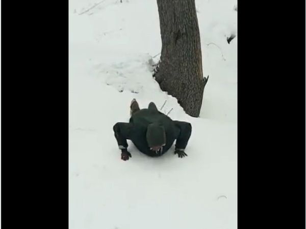 Viral Video BSF jawan completes 47 push ups within 40 seconds in freezing weather Watch Viral Video
