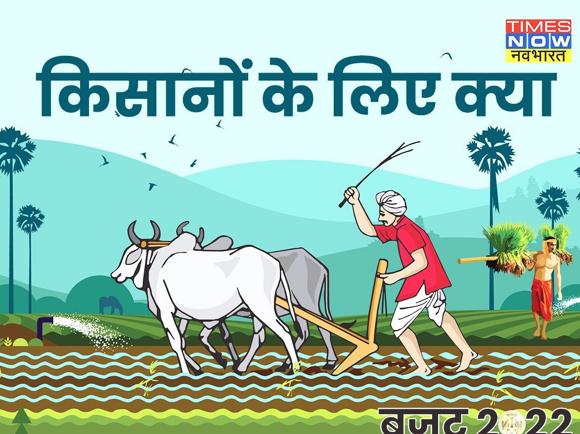 Budget 2022 for Farmers: किसानों के लिए बजट में हुए ये बड़े ऐलान, जानें बजट में किसानों को क्या मिला