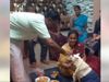 Tamil Nadu Family Performs Baby Shower For His Pregnant dog Video Goes Viral 