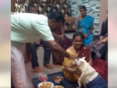 Tamil Nadu Family Performs Baby Shower For His Pregnant dog Video Goes Viral Tamil Nadu Family Performs Baby Shower For His Pregnant dog Video Goes Viral