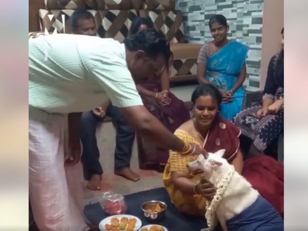 Tamil Nadu Family Performs Baby Shower For His Pregnant dog Video Goes Viral 