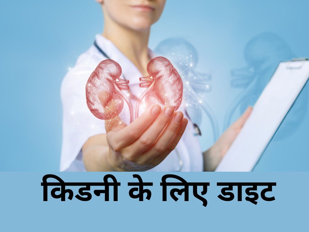 Bad Food For Kidney: किडनी को रखना है स्वस्थ, तो इन चीजों से कर लें तौबा