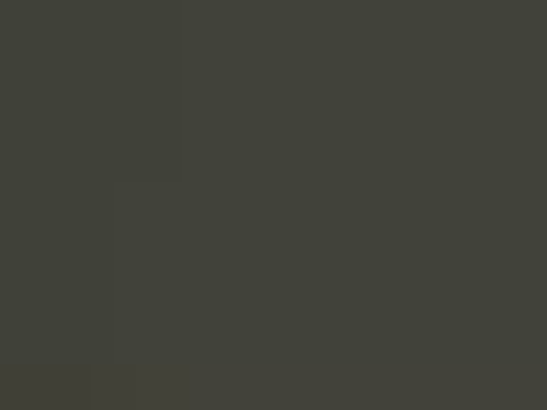 Bareilly Covid Center Video