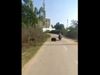 Viral Video Man was going on the bike suddenly bear appeared in front Watch Shocking Video