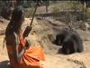Bhajans bring wild bears closer to hermit in Madhya Pradesh forest