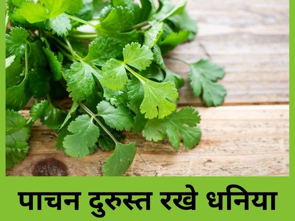 Benefits of Green Coriander
