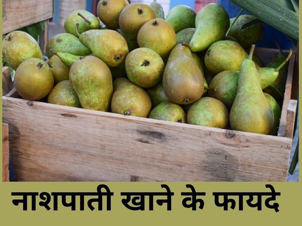 Benefits of Pears Fruit