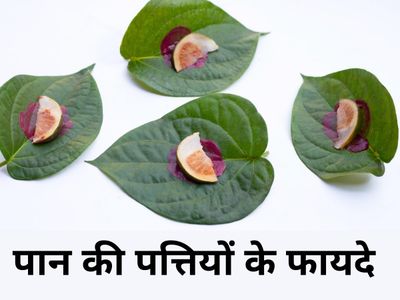 Betel Leaf Betel Leaf