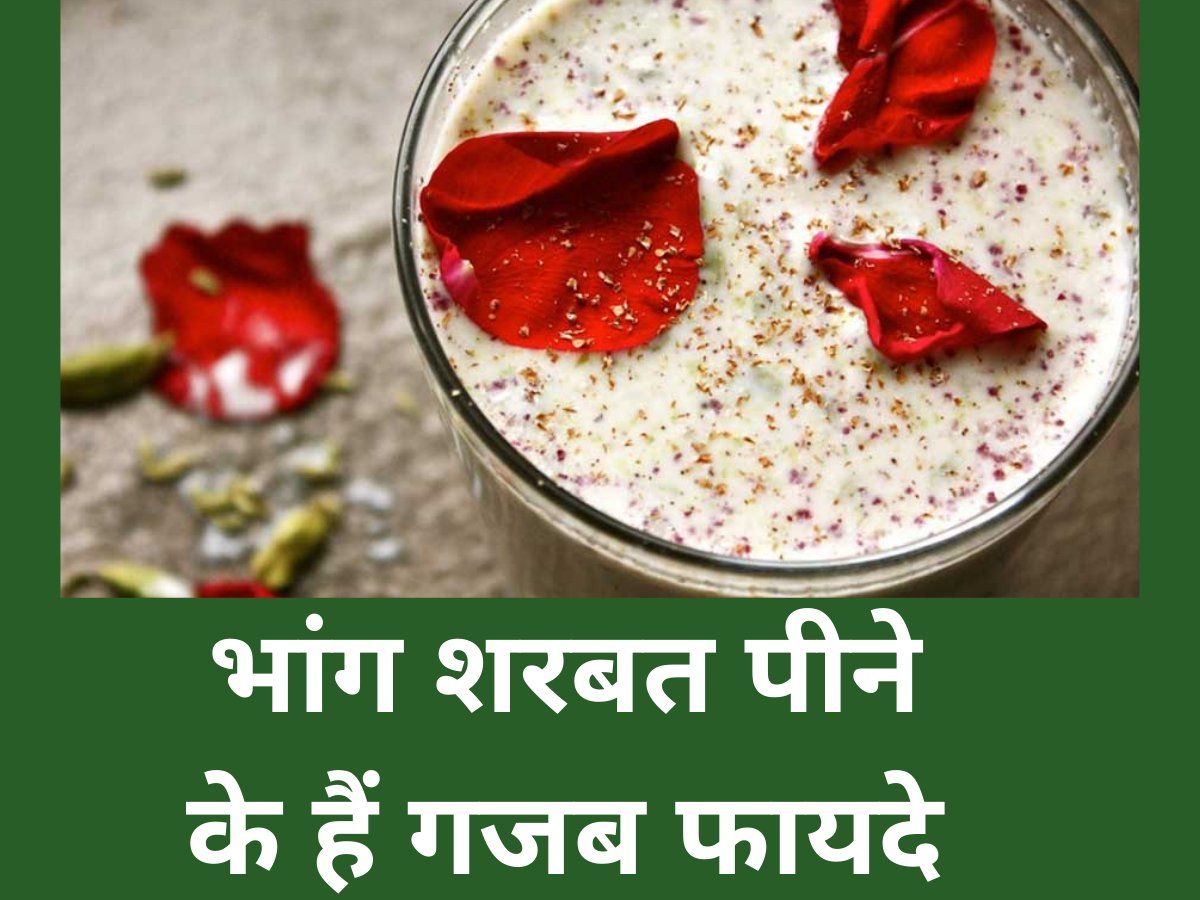 Bhang Sharbat Benefits: सीमित मात्रा में भांग के शरबत का सेवन करना है लाभदायक, जानें इसकी रेसिपी और फायदे