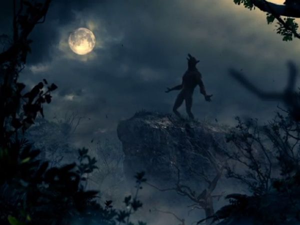 Varun Dhawan and Kriti Sanon film Bhediya