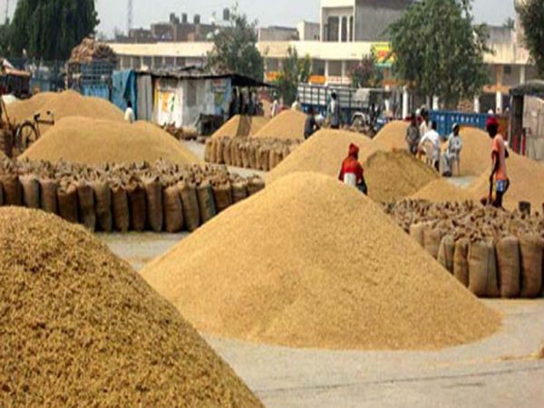 Bhopal wheat Sale