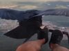 Man Fly With Bird in Sky Heart Winning Video Goes Viral