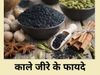 Black Cumin Benefits