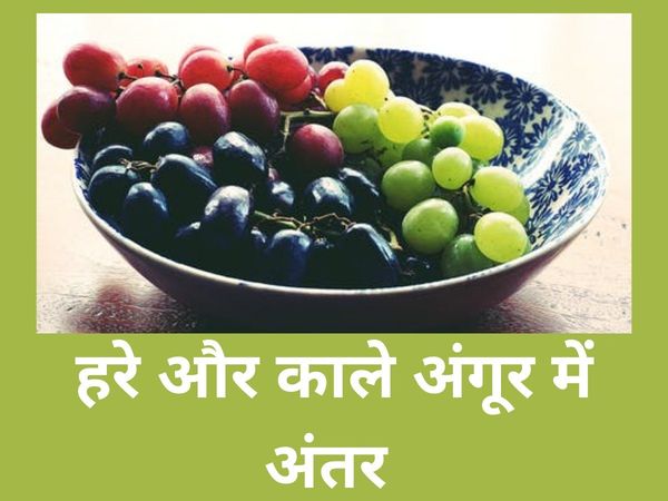 Black Grapes vs Green Grapes