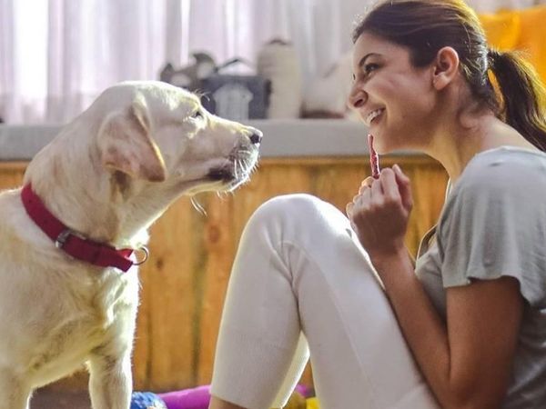 Bollywood Celebs Pets