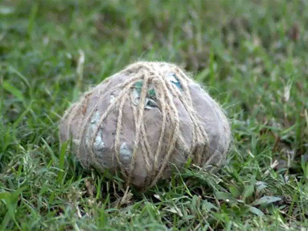 Bomb Blast in Prayagraj: प्रयागराज में पोलिंग बूथ के पास बम विस्फोट से दहशत, एक युवक की मौत, मौके पर हड़कंप