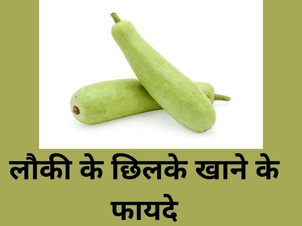 Bottle Gourd 