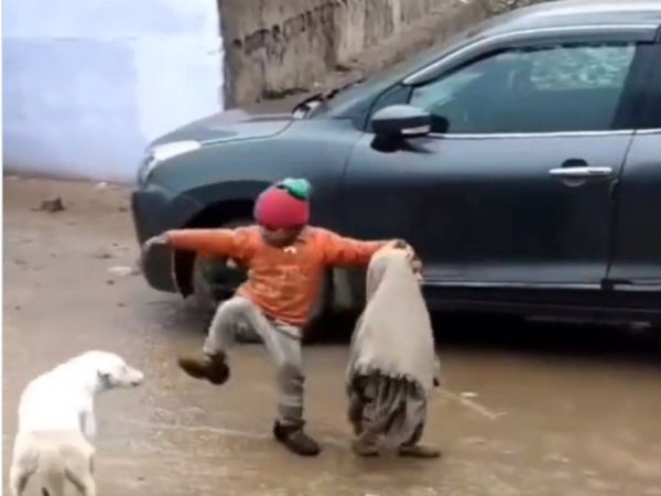 Boys Video Brother Save Little Brother From Dog Cute Video Goes Viral