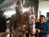 Bride Viral Video Bride Reached Groom House on Horse in Gaya Viral Video in Hindi