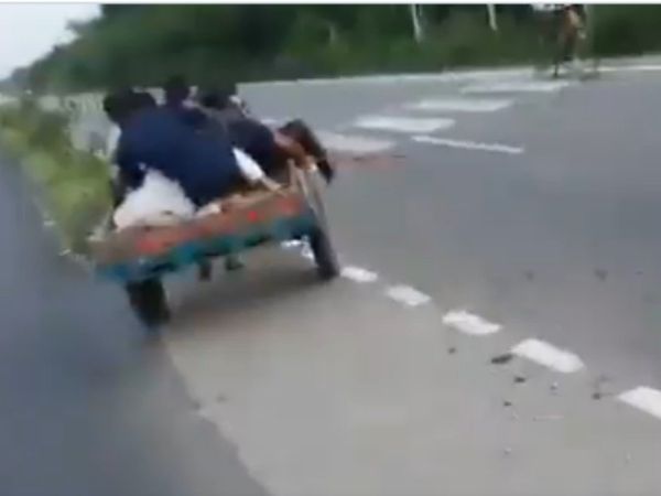 Funny Video People Riding on Buffalo Then What Happened Watch Viral Video