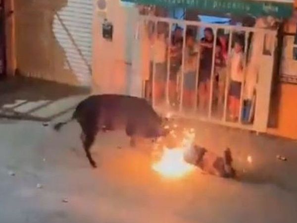 Angry bull kills Man During Spanish Festival Know All about It