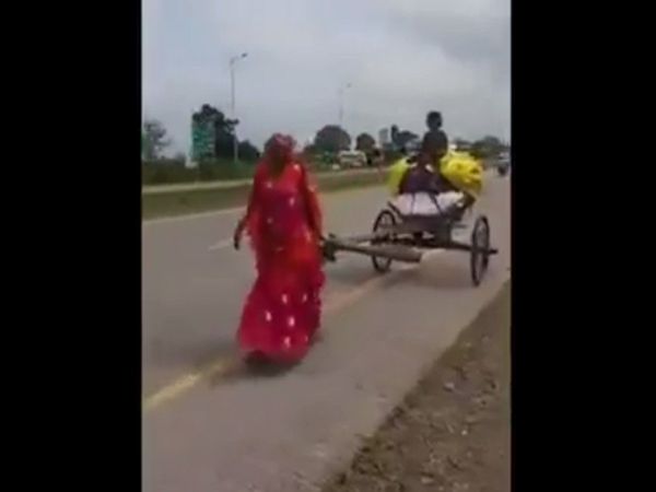Mother Pulls a bullock cart Heart Touching Video Goes Viral