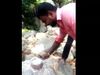 जंगल में 'बर्थडे केक' काटना पड़ा महंगा, केक काटते ही हुआ ये- Viral Video